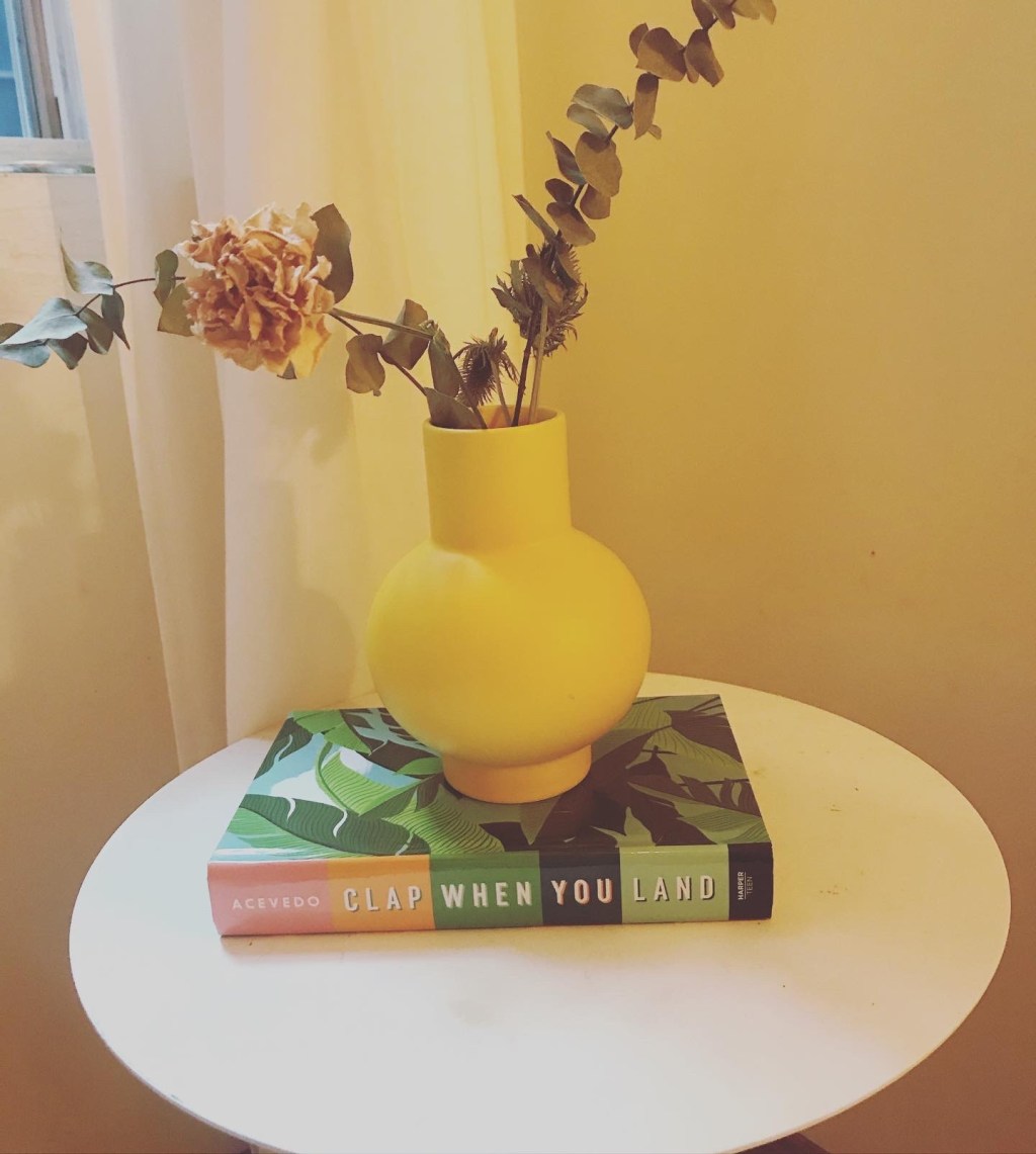 Book Review: Clap When You Land // Elizabeth&nbsp;Acevedo