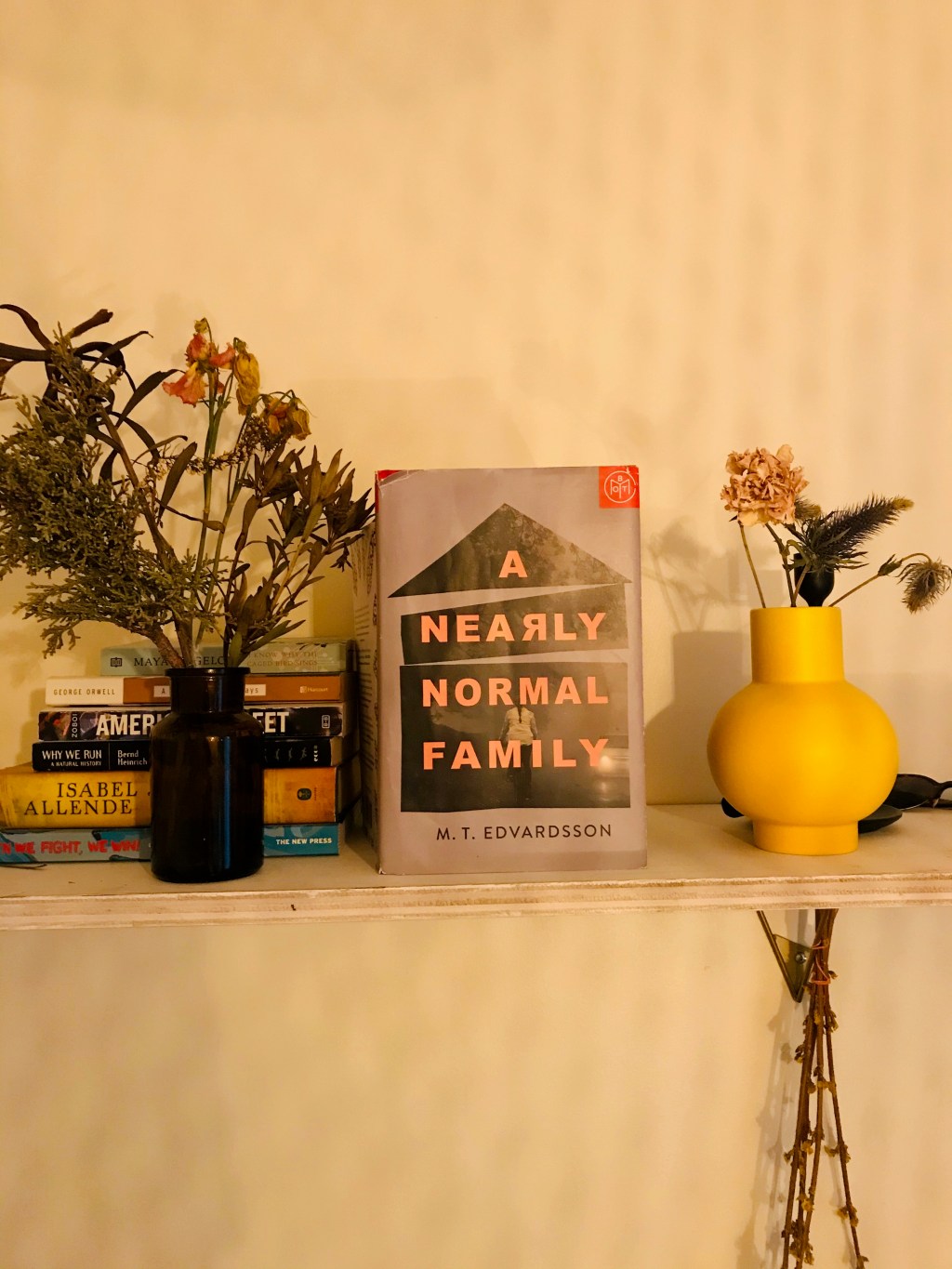 Book Review: A Nearly Normal Family // M.T.&nbsp;Edvarsson